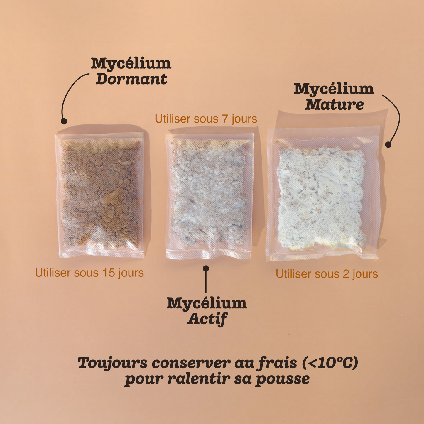 Kit Bijou de sac Shroumi™