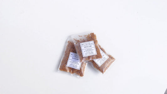 Comment bien conserver votre sachet de mycélium dès réception