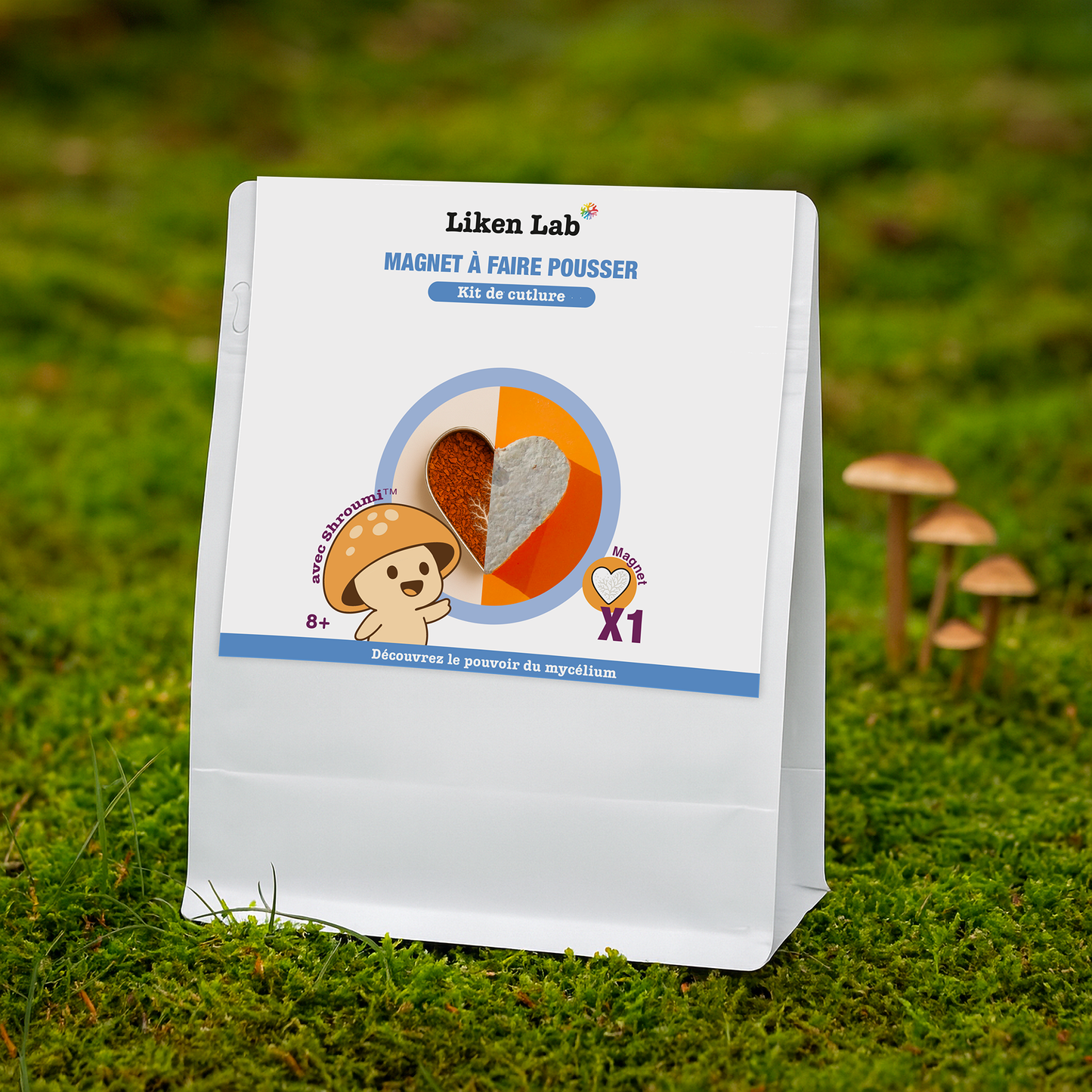 Kit Mycélium - Magnet Shroumi™