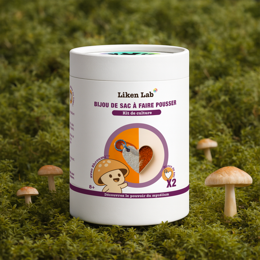 Kit “Mon premier objet en mycélium” Liken Lab