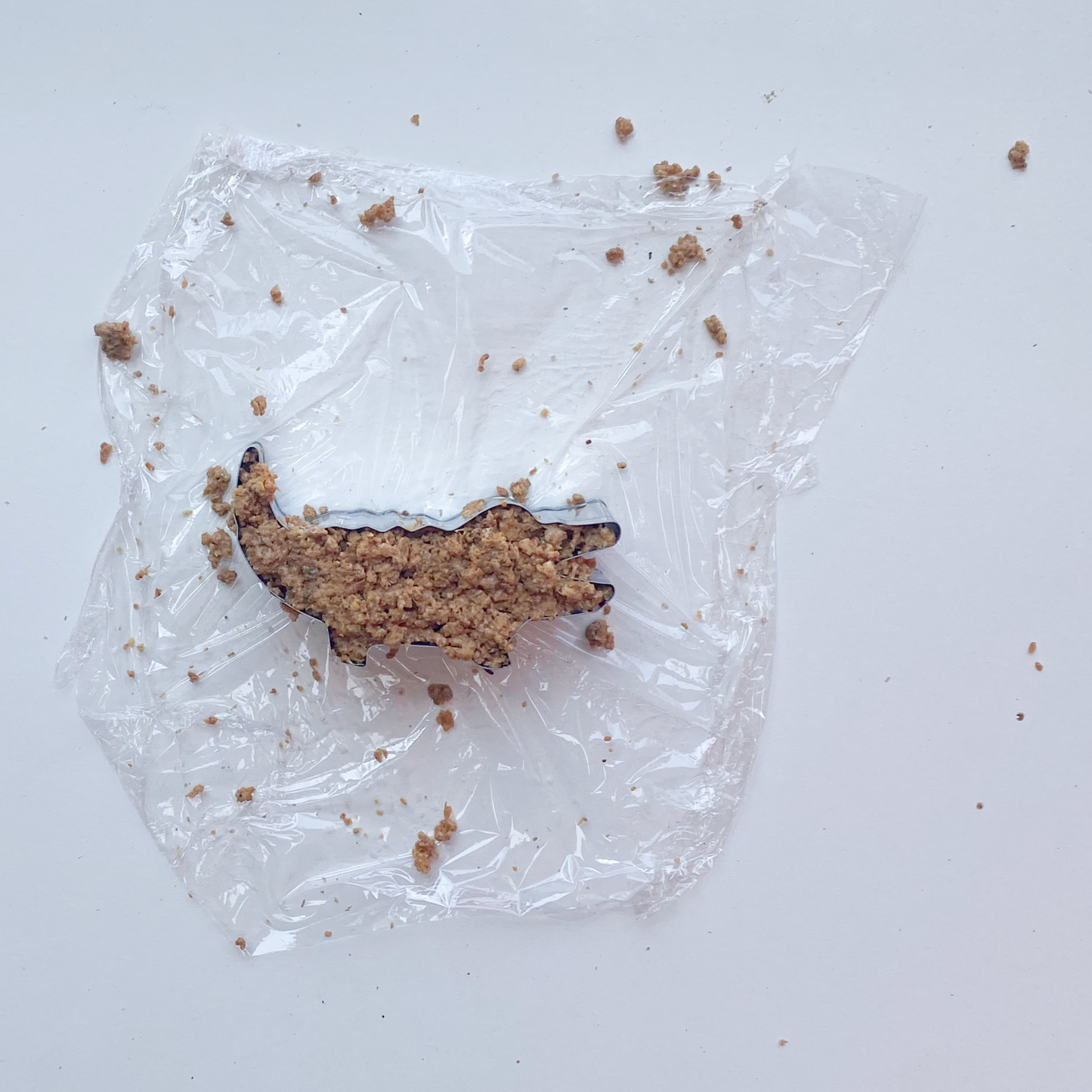 Kit Mycélium - Magnet Shroumi™