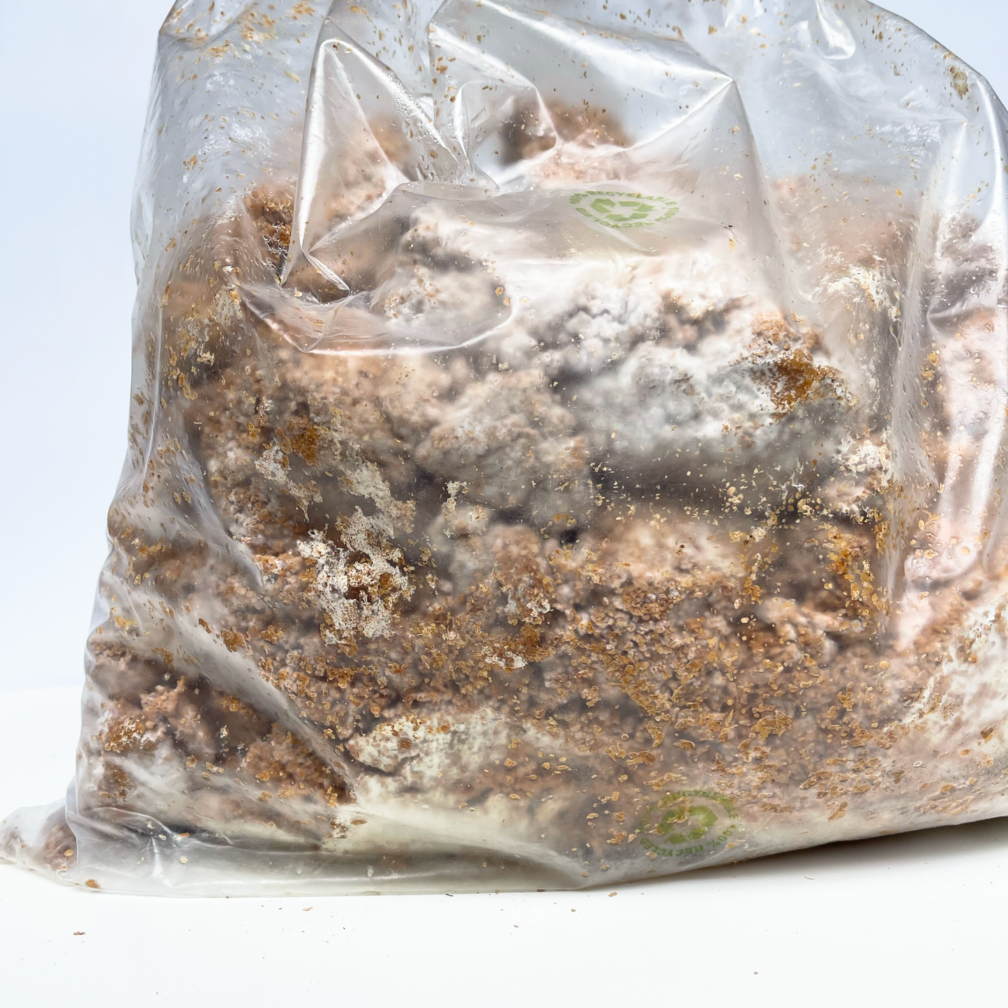 Mycélium prêt à l’emploi