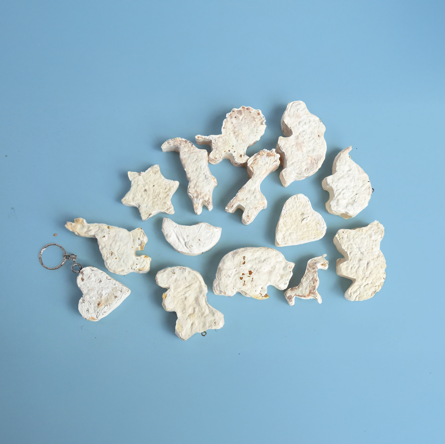 Mycélium prêt à l’emploi