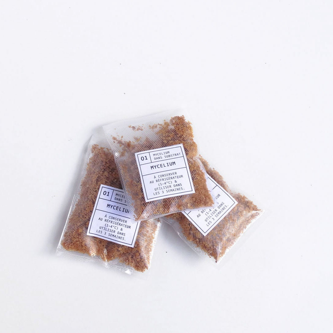 Mycélium prêt à l’emploi