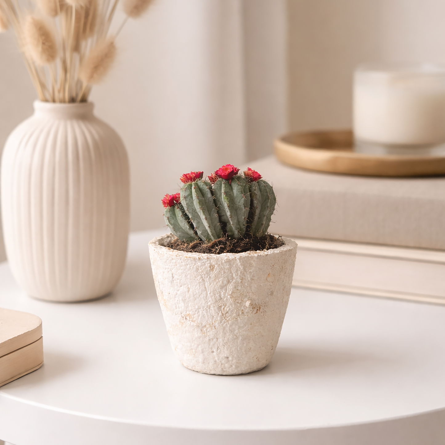 Le Kit Mon Premier Objet en Mycélium